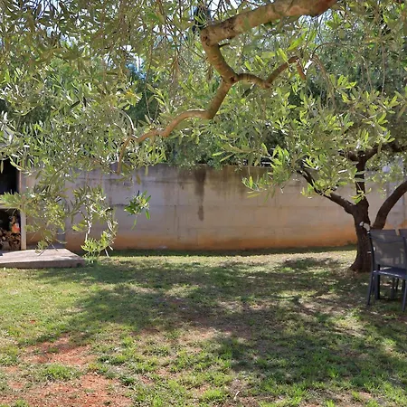 Ante 公寓 比比涅